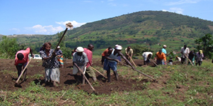 Ubudehe: Rwandans Working Together